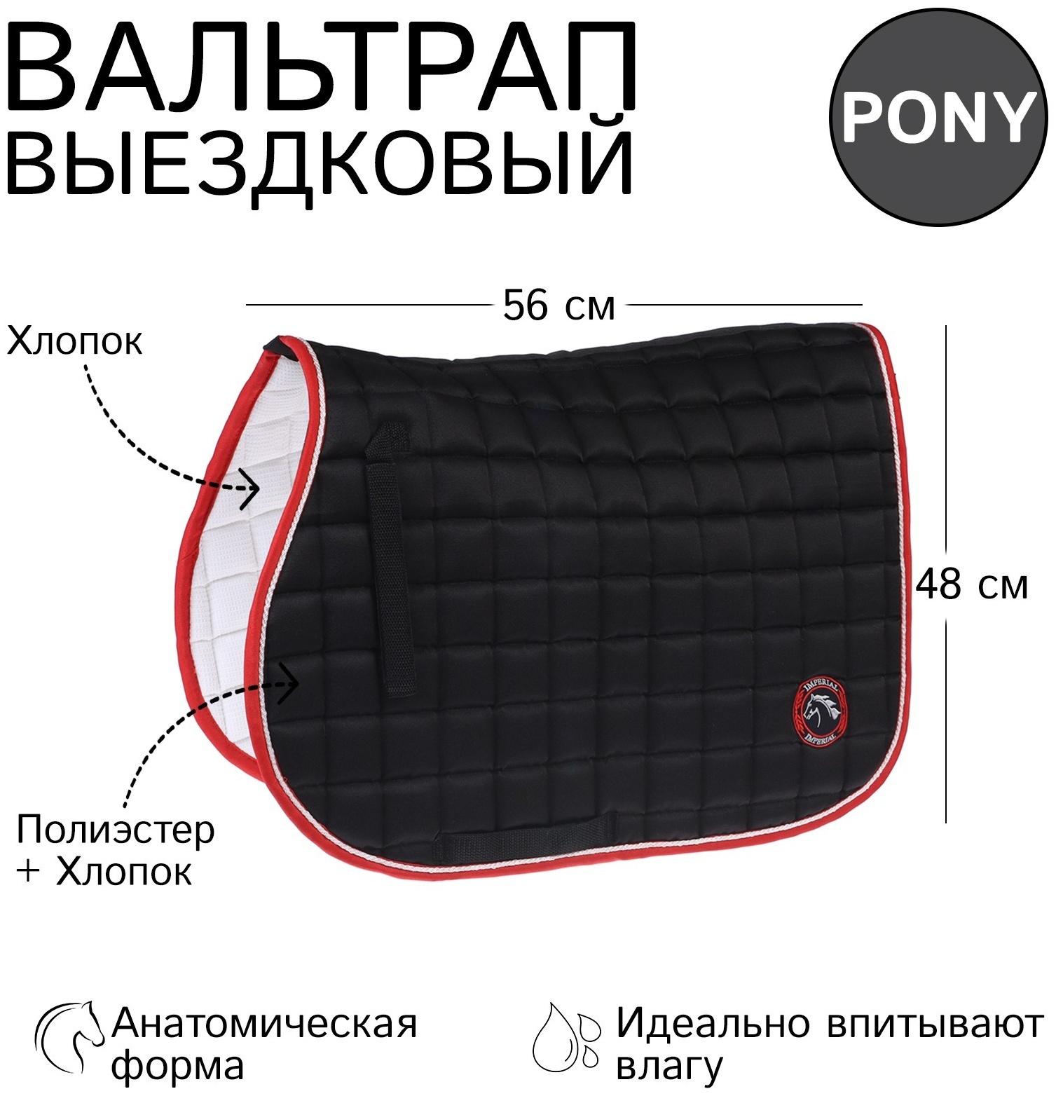 Вальтрап пони, черный