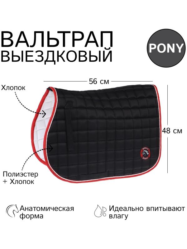 Вальтрап пони, черный
