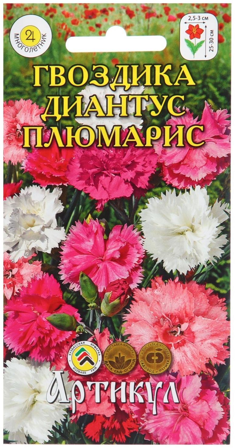 Семена Цветов Гвоздика  