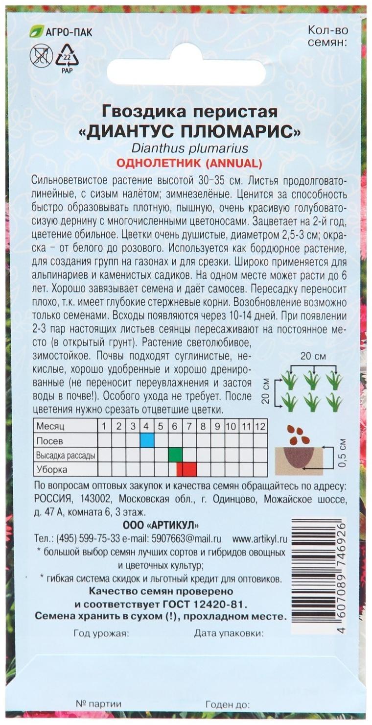 Семена Цветов Гвоздика  