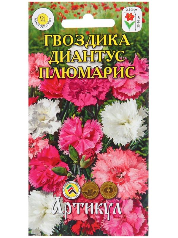 Семена Цветов Гвоздика  