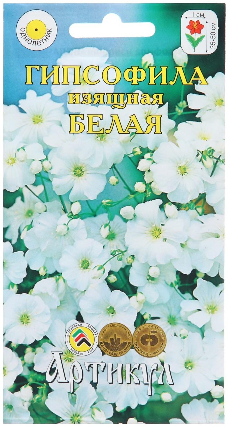 Семена Цветов Гипсофила 