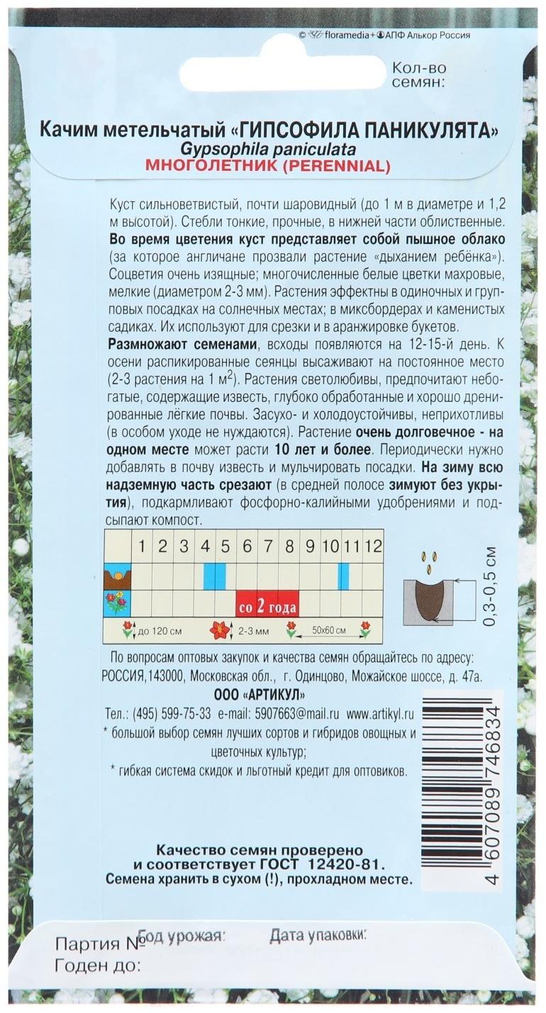 Семена Цветов Гипсофила 