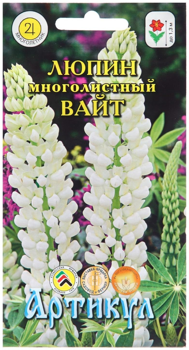 Семена Цветов Люпин многолетний 