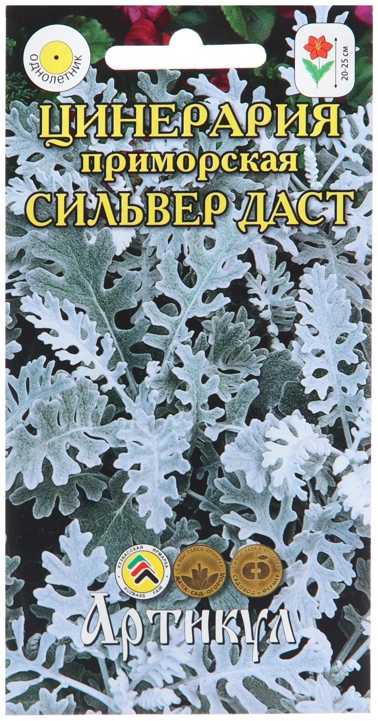 Семена Цветов Цинерария 