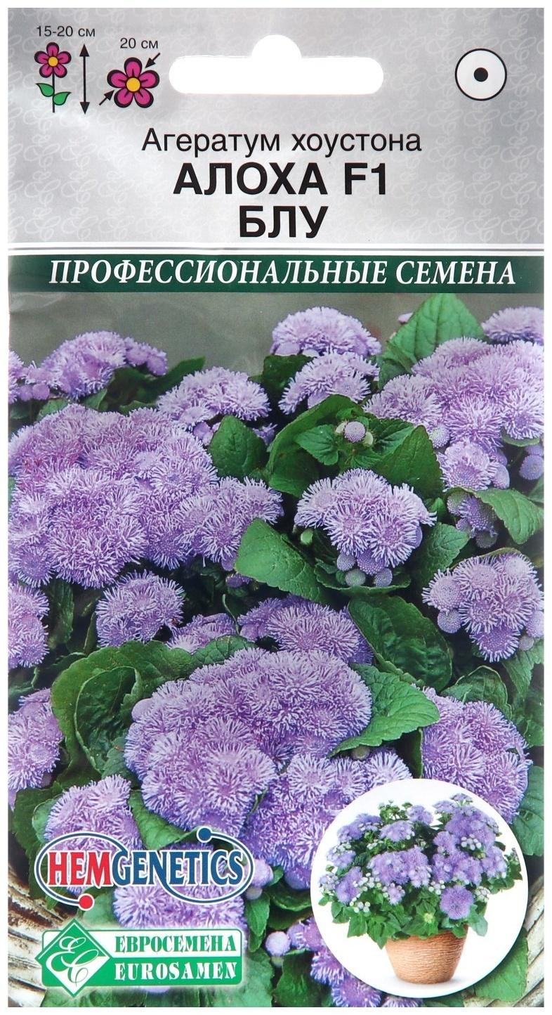 Семена цветов  Агератум хоустона 