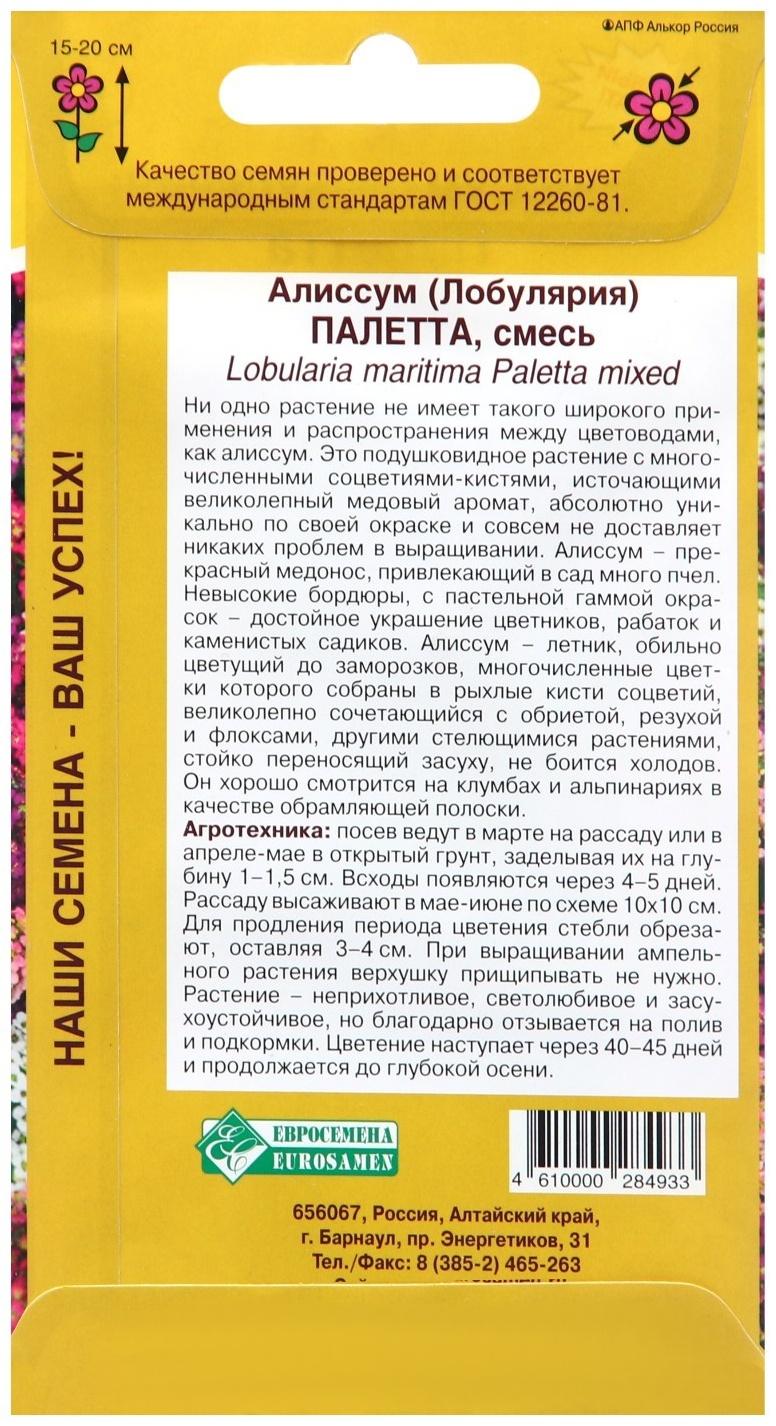 Семена цветов  Алиссум  