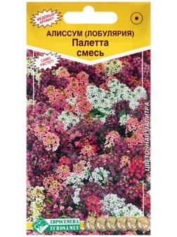 Семена цветов  Алиссум  