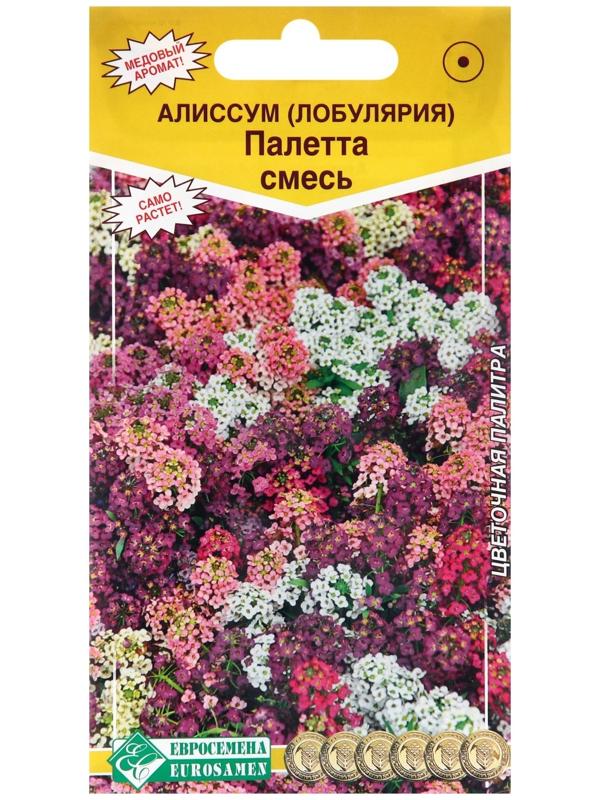 Семена цветов  Алиссум  