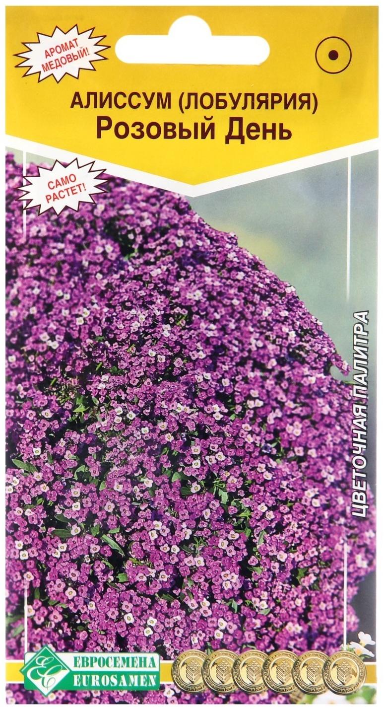 Семена цветов  Алиссум  