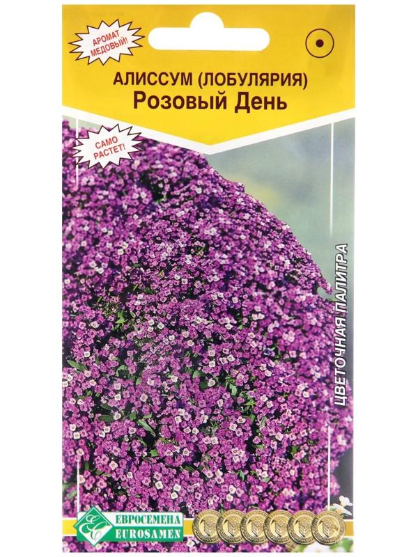 Семена цветов  Алиссум  