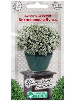 Семена цветов  Алиссум морской 