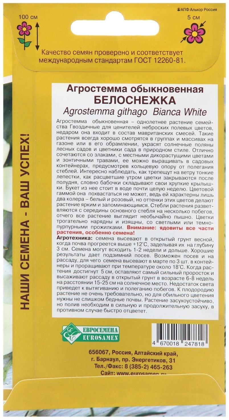 Семена цветов  Агростемма обыкновенная 