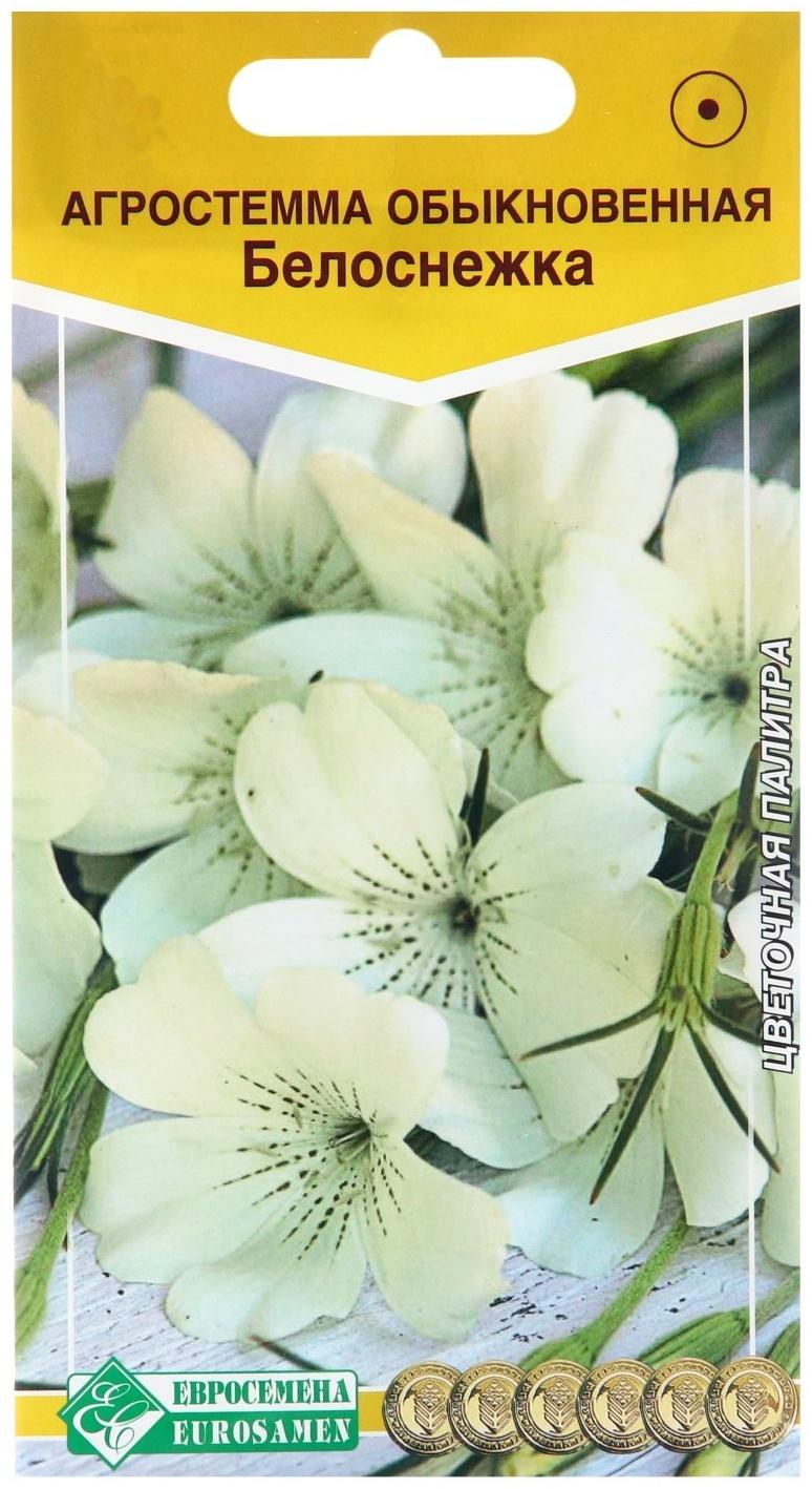 Семена цветов  Агростемма обыкновенная 