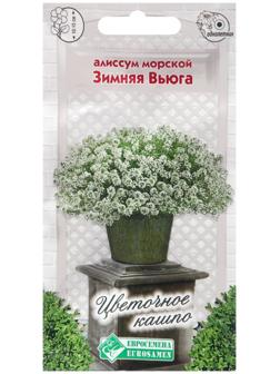 Семена цветов  Алиссум морской 