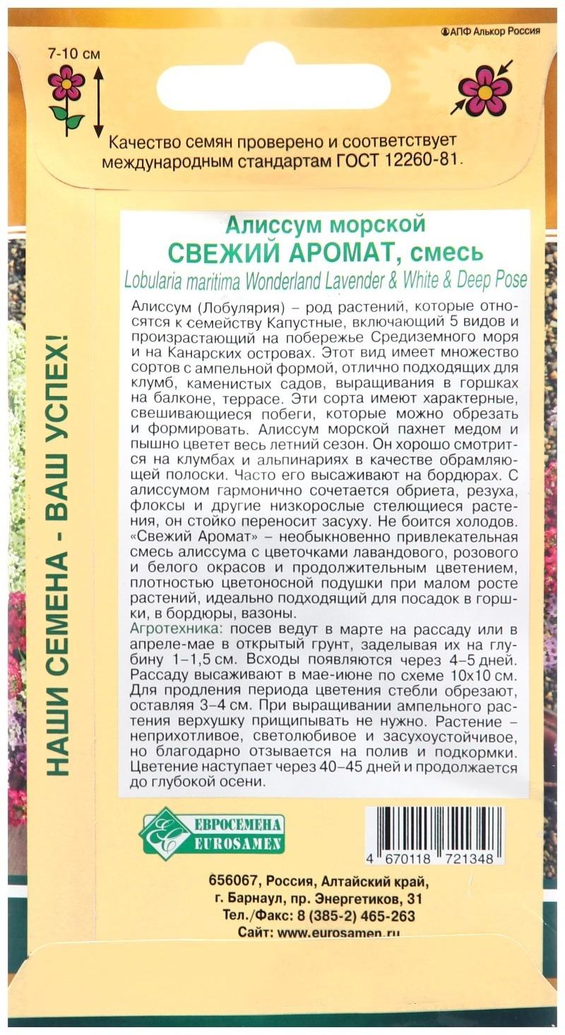 Семена цветов  Алиссум морской 