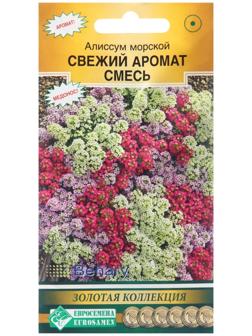 Семена цветов  Алиссум морской 