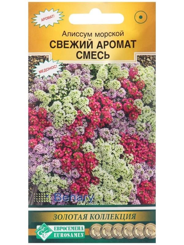 Семена цветов  Алиссум морской 