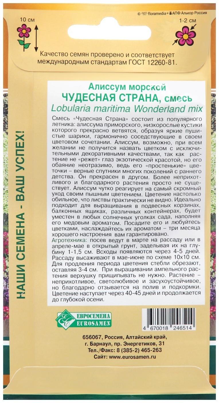Семена цветов  Алиссум морской 