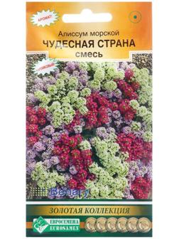 Семена цветов  Алиссум морской 