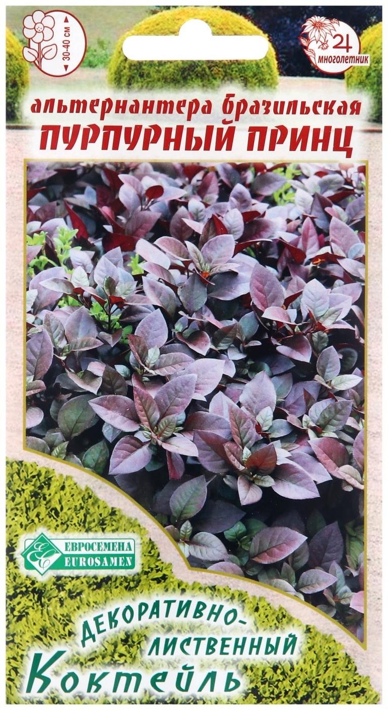 Семена цветов  Альтернантера бразильская 