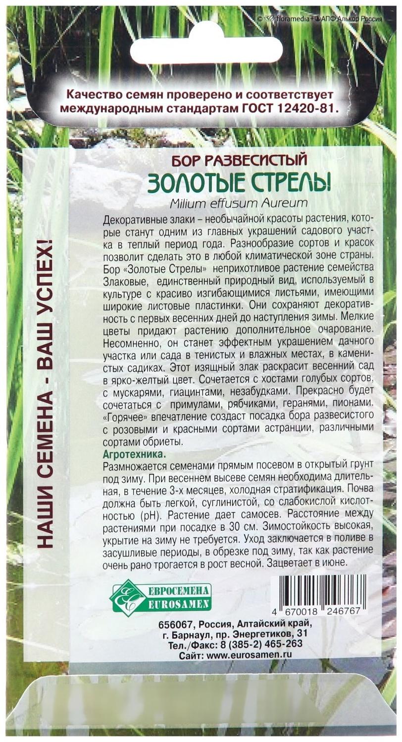 Семена цветов Бор развесистый 