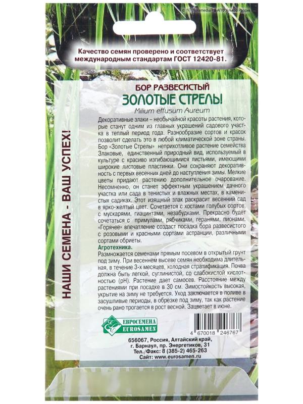 Семена цветов Бор развесистый 