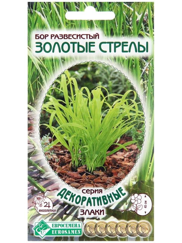 Семена цветов Бор развесистый 