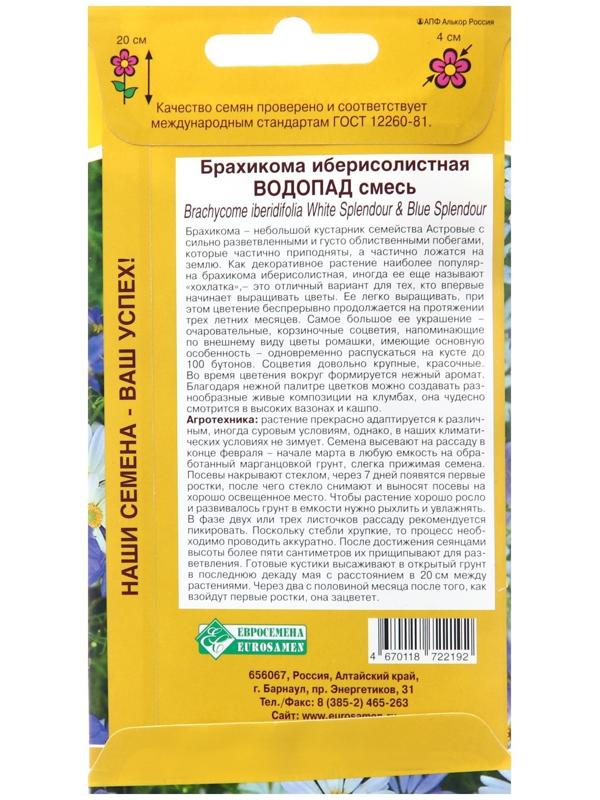 Семена цветов Брахикома иберисолистная 