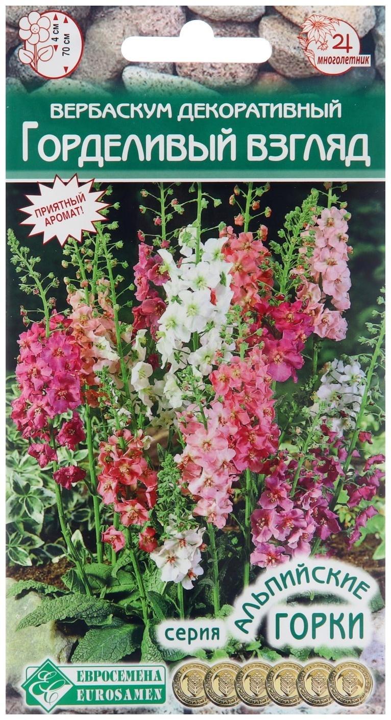 Семена цветов Вербаскум декоративный 