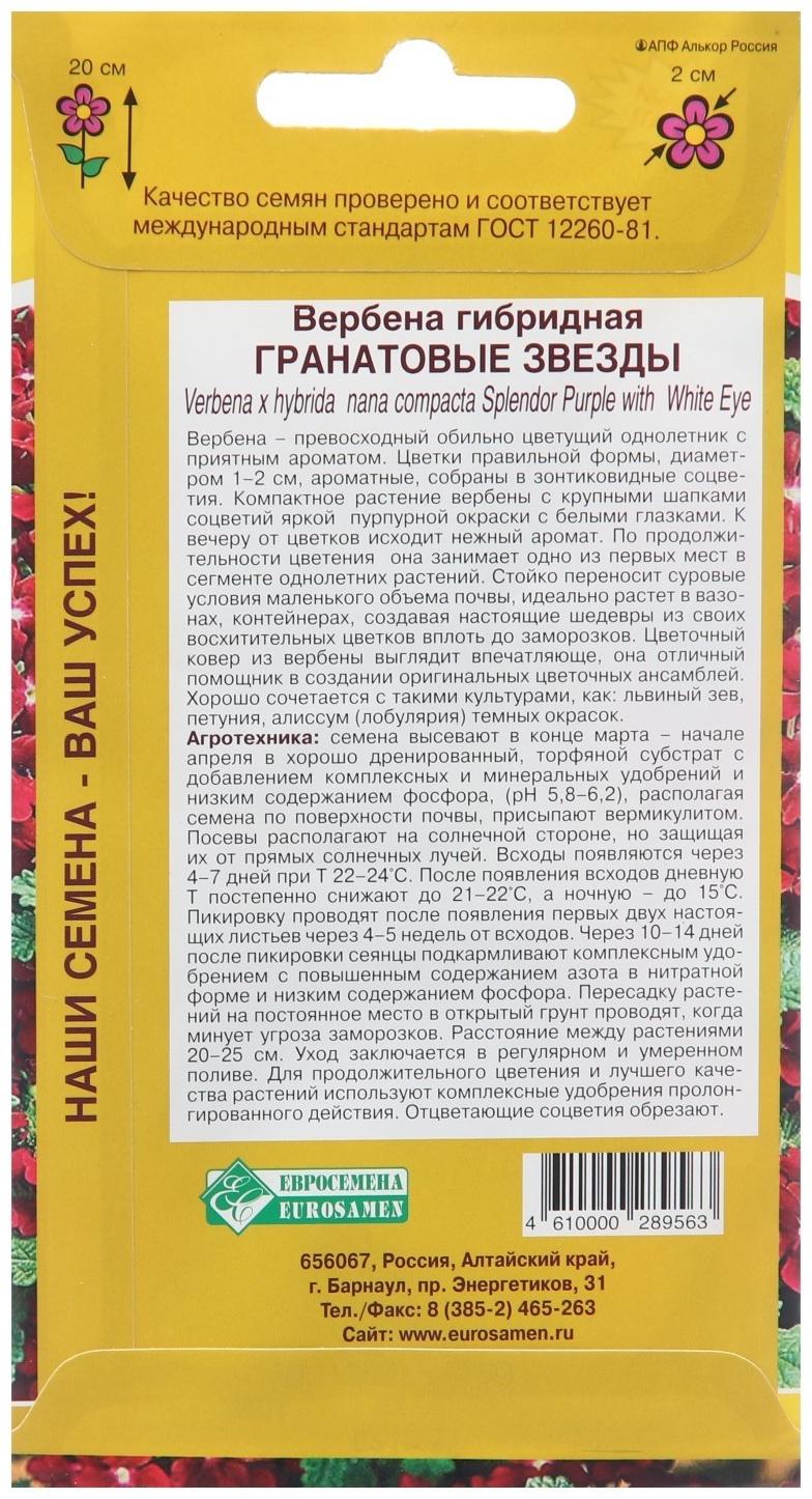 Семена цветов Вербена гибридная 