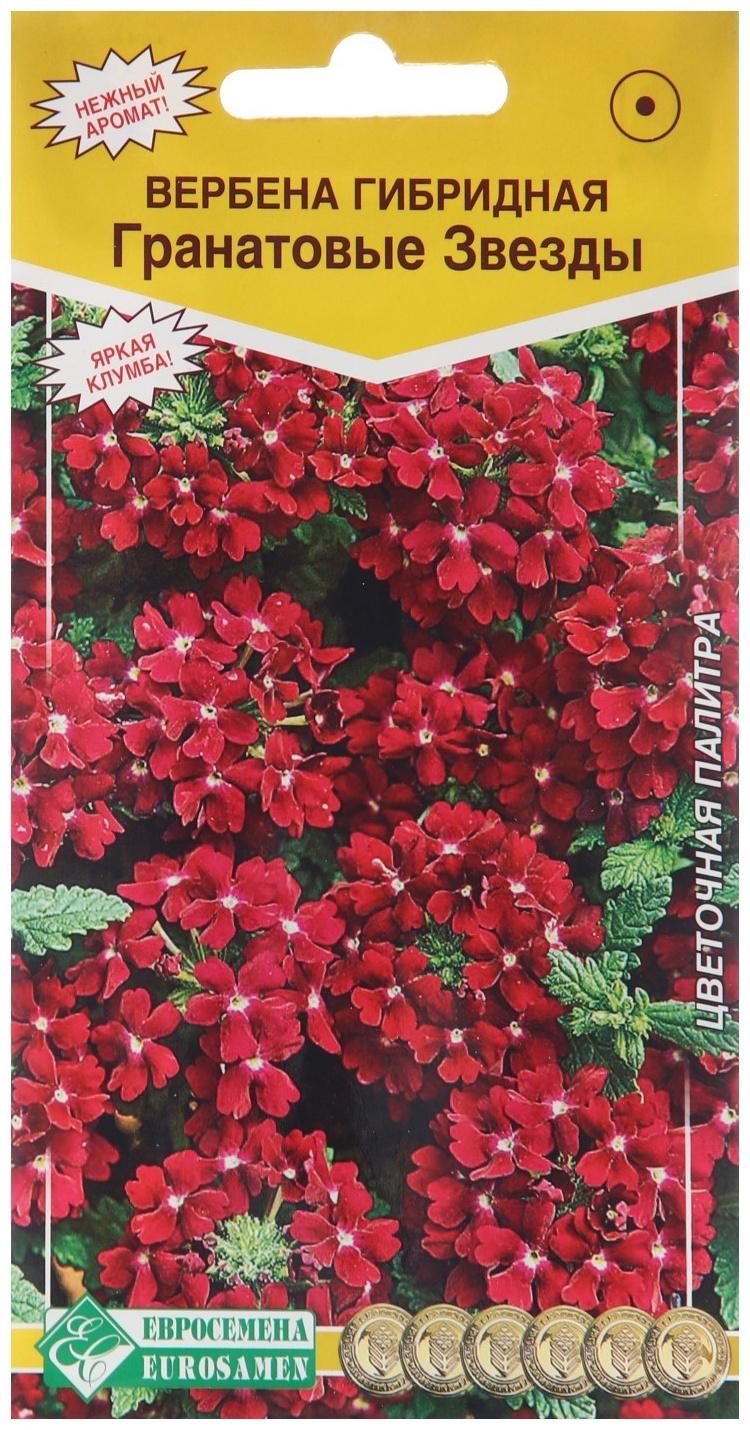 Семена цветов Вербена гибридная 