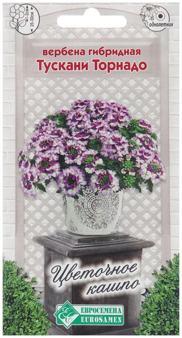 Семена цветов Вербена гибридная 