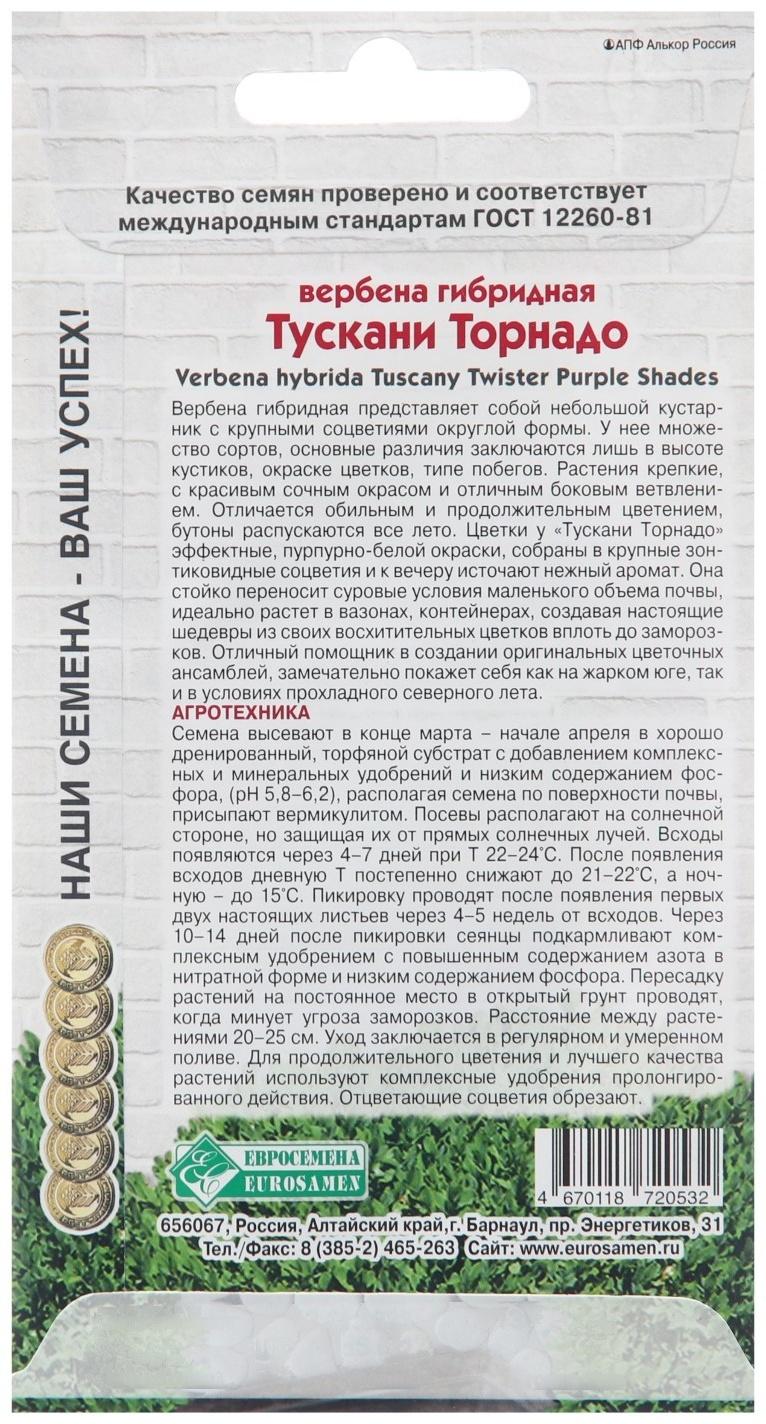 Семена цветов Вербена гибридная 