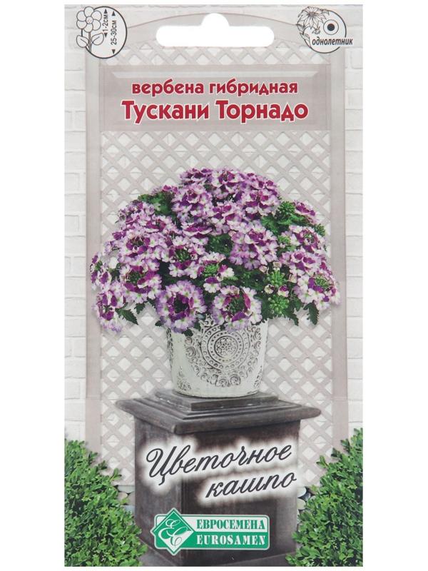 Семена цветов Вербена гибридная 