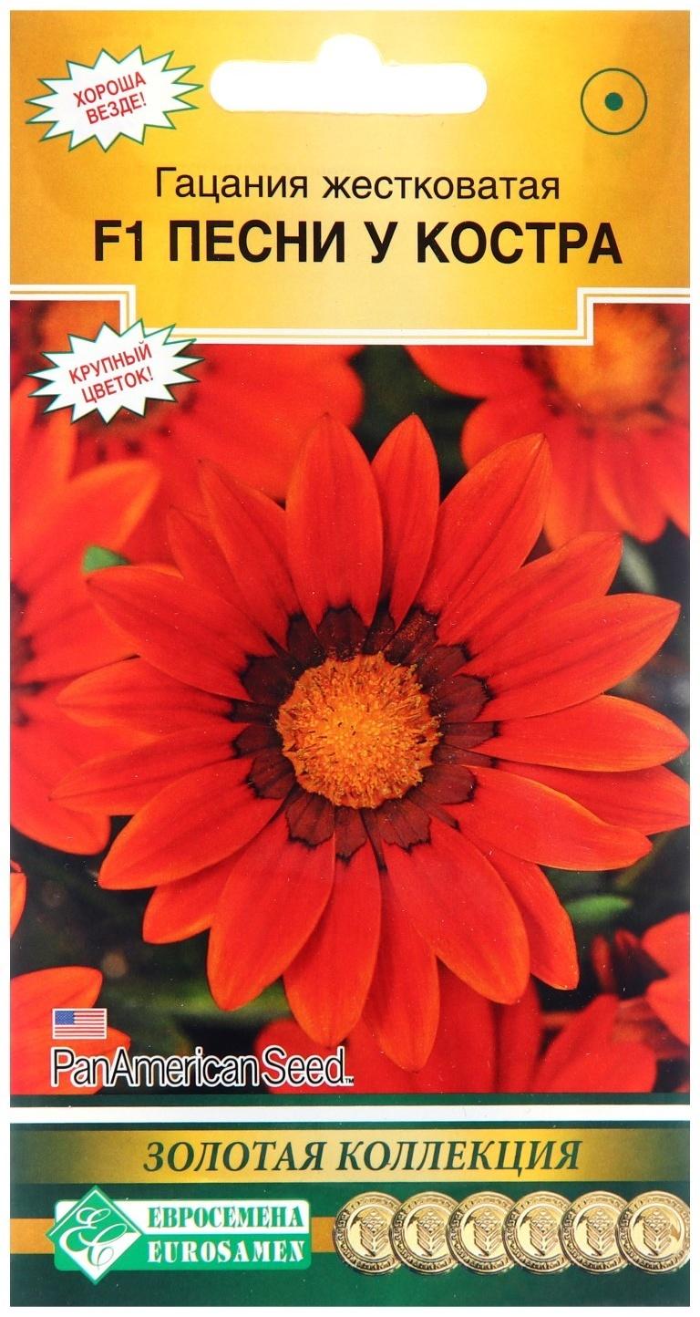 Семена цветов Гацания жестковатая 