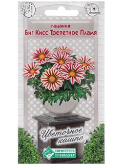 Семена цветов Гацания жестковатая 