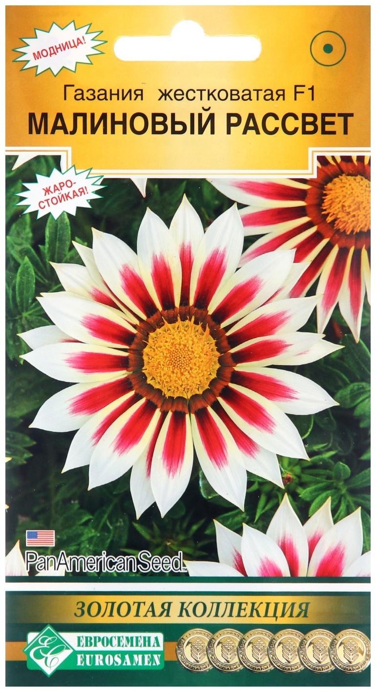 Семена цветов Гацания жестковатая 