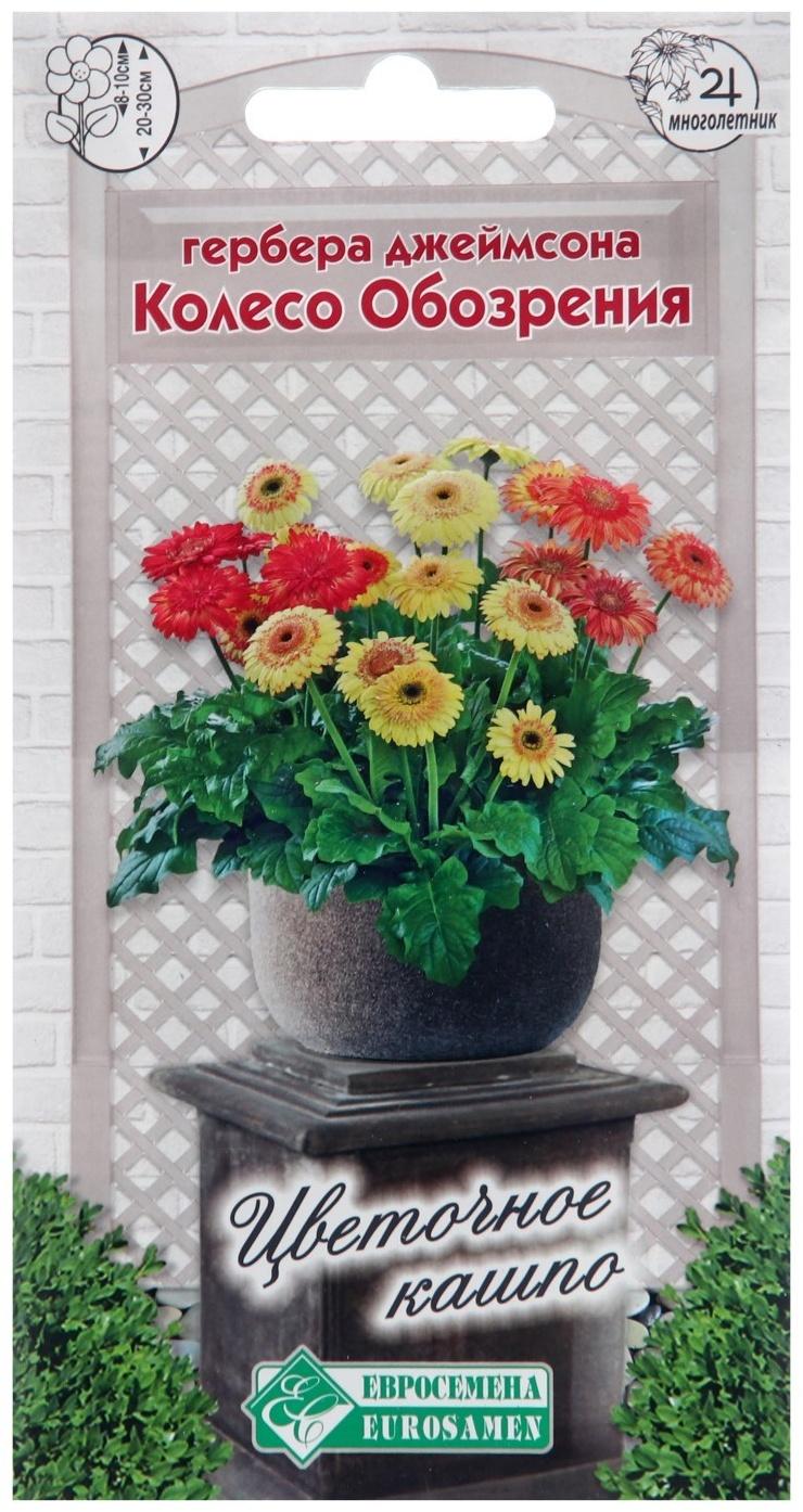Семена цветов Гербера джеймсона 