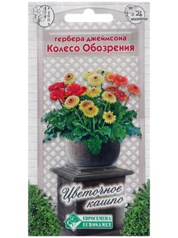 Семена цветов Гербера джеймсона 