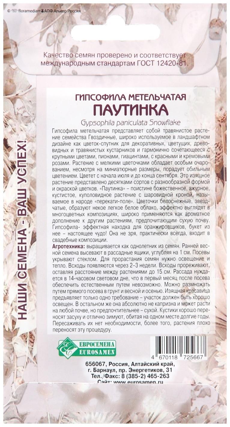 Семена цветов Гипсофила метельчатая 