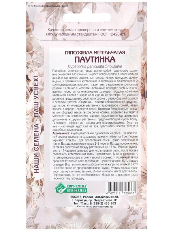 Семена цветов Гипсофила метельчатая 