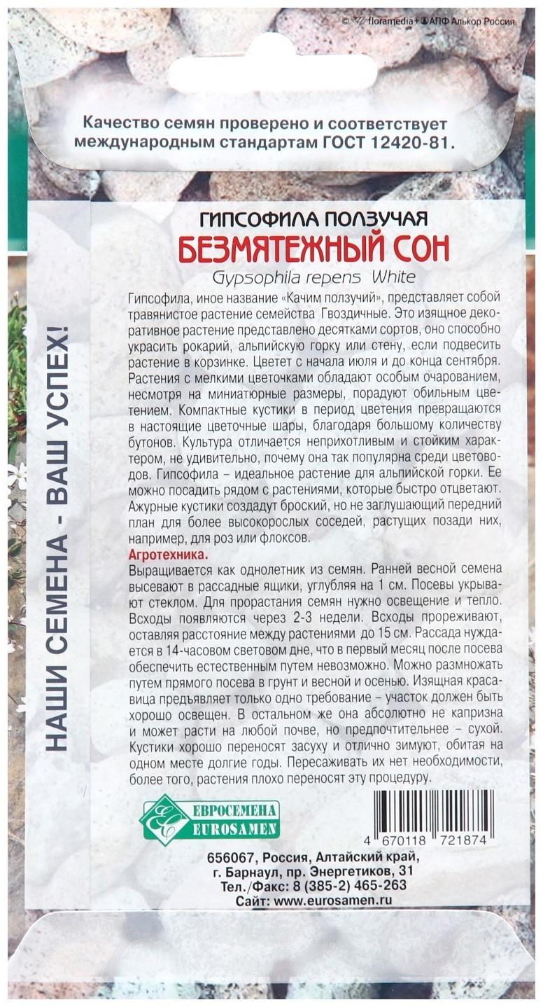 Семена цветов Гипсофила ползучая 