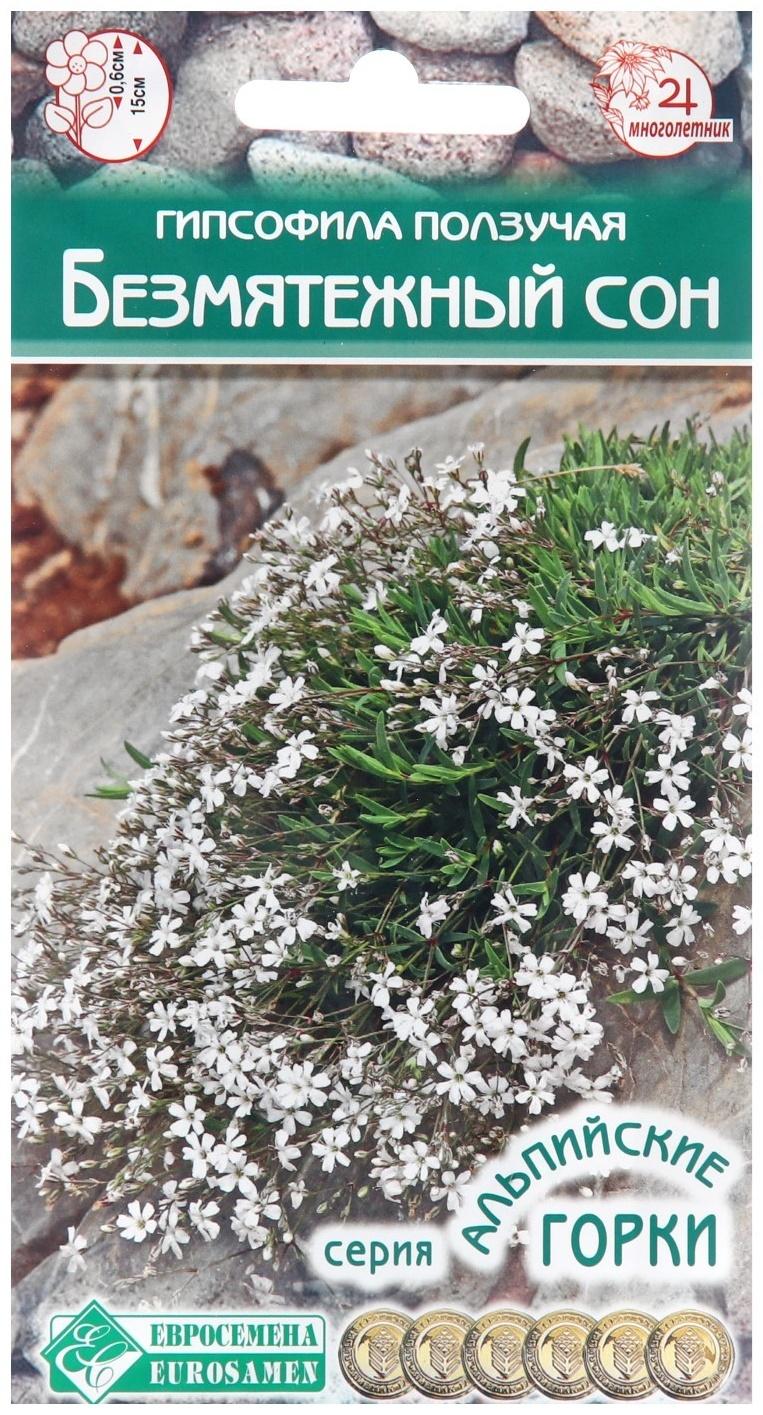 Семена цветов Гипсофила ползучая 