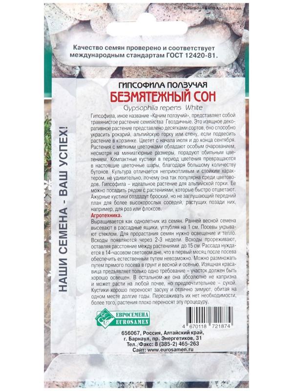 Семена цветов Гипсофила ползучая 