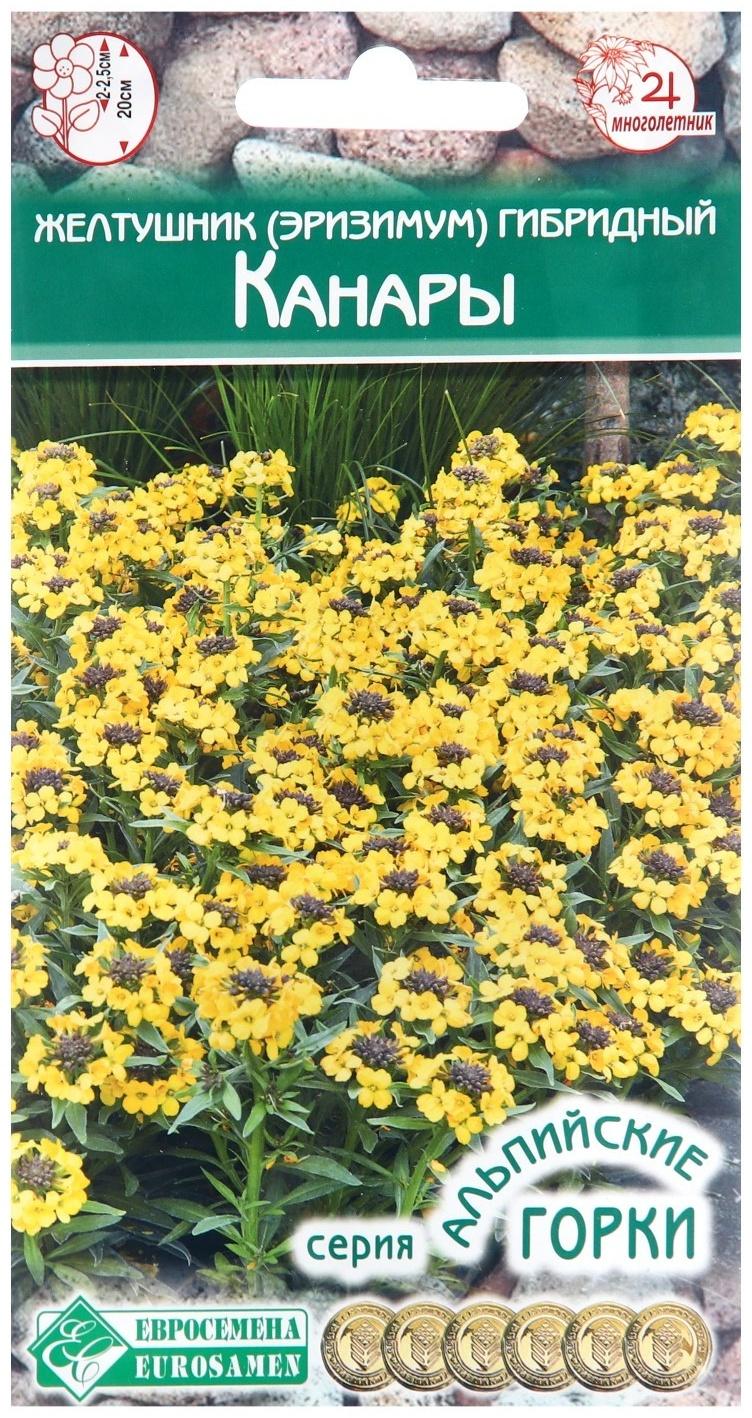 Семена цветов Желтушник  гибридный 