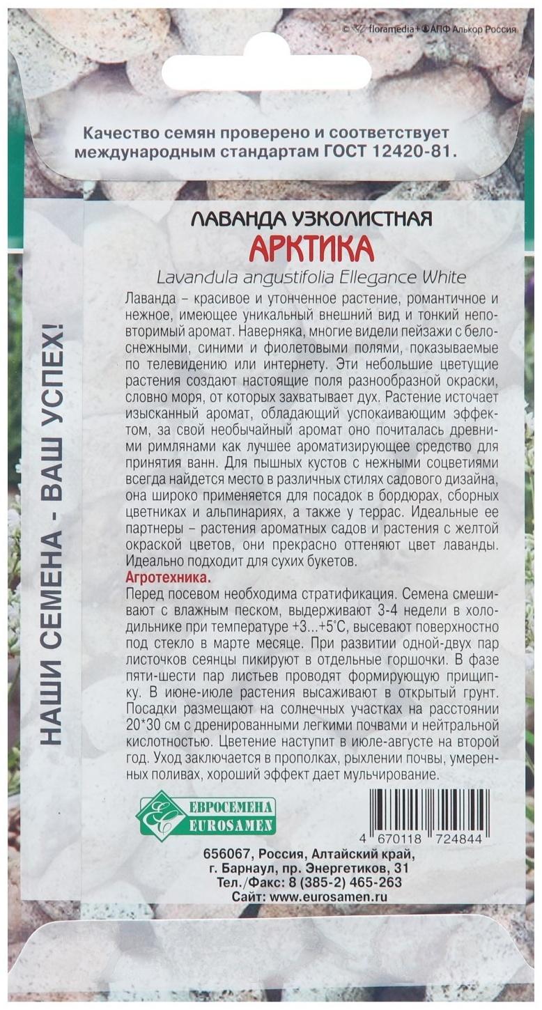 Семена Лаванда узколистная 