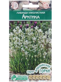 Семена Лаванда узколистная 