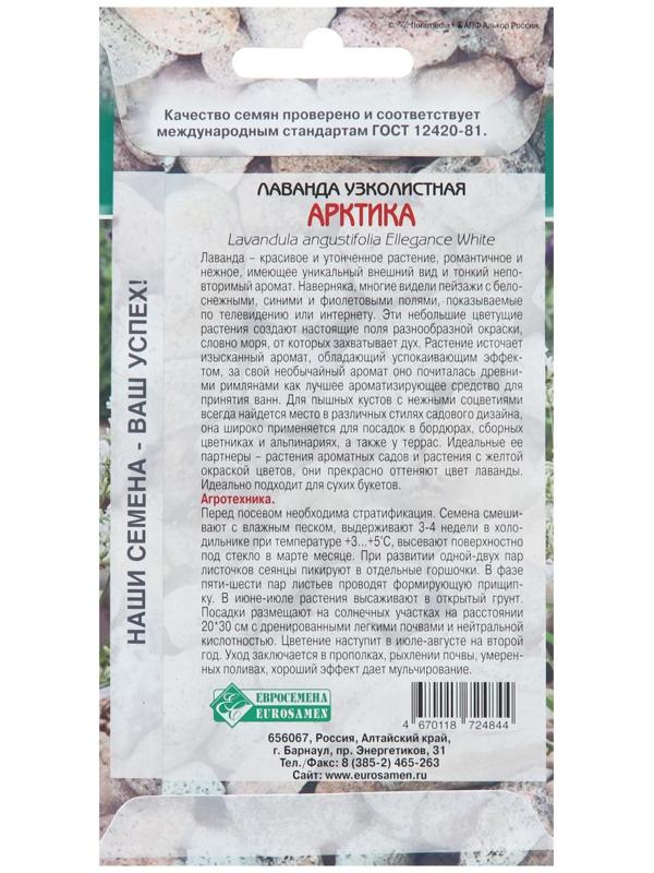 Семена Лаванда узколистная 