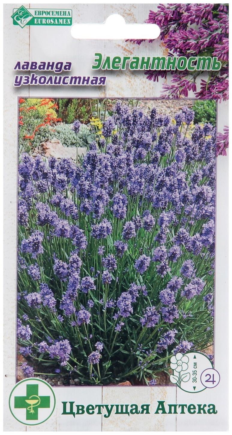 Семена Лаванда узколистная